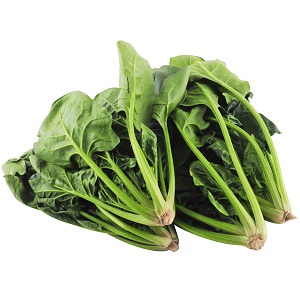 日本農學博士傑作 益荒男菠菜 150g （三重縣産）