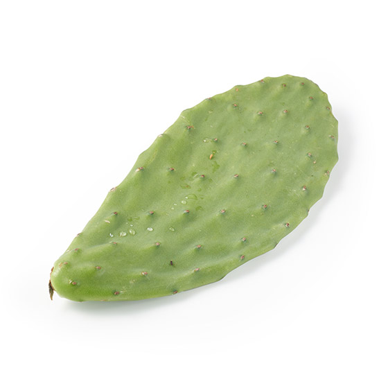 適合莎莎醬或牛扒配菜！仙人掌葉（沖繩縣產）