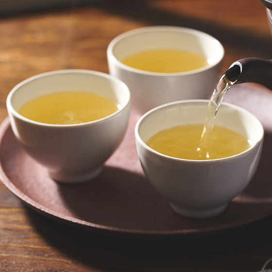 凍頂烏龍茶 茶包