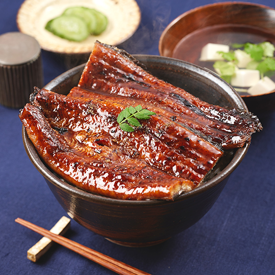 鹿兒島縣產鰻魚長蒲燒・普通Size