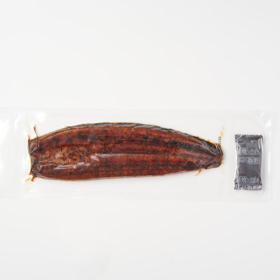 鹿兒島縣產鰻魚長蒲燒・普通Size