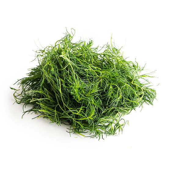 超級爽脆停不了口 無翅豬毛菜（山形縣産）
