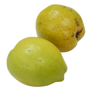 自製蜂蜜漬 花林香梨 1-3個 500g （奈良縣産）