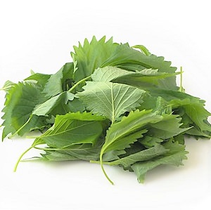 【抵買不規則品】大葉（大包裝）