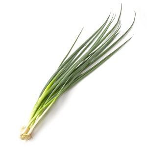 用途廣泛 有機栽培小青蔥 80g （島根縣産）