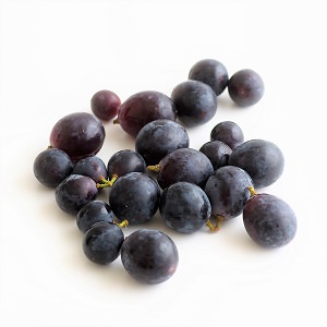 濃厚的甜蜜 杯裝巨峰葡萄 200g （熊本縣産）