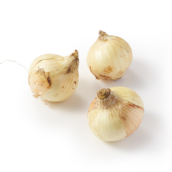 【Oisix精選】沒想到那麼甜 鹽田洋葱