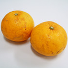 清爽口味 甘夏蜜柑 2-3個 500g （熊本縣或鹿児島縣産）
