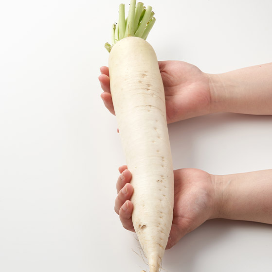 最佳沙律材料 水嫩大根（青森縣産）