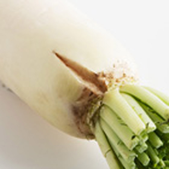 最佳沙律材料 水嫩大根（青森縣産）