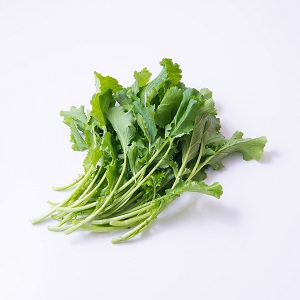 獨特的微微甘苦 意大利芥藍菜 100g （埼玉縣産）