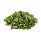 新鮮雜菜嫩苗 Baby Leaf 120g （埼玉縣産）