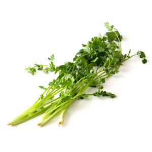 強烈獨特香氣 芫茜 1-2棵 60g （埼玉縣産）