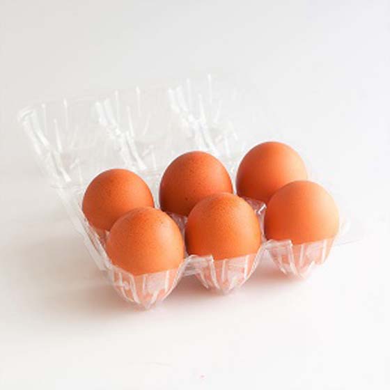 【Oisix自家品牌】【可生食】 富士山麓雞蛋6隻