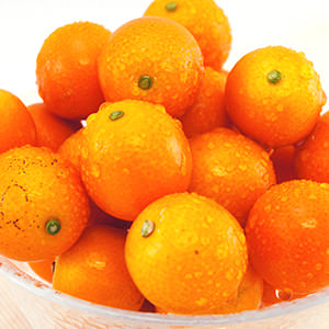 粒粒黃金好意頭 金柑 750g (宮崎県産)