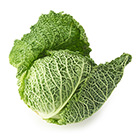 口感柔軟良好 皺葉椰菜 1個 500g （静岡縣產）