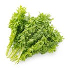一瞬的辛辣刺激 沙律山葵菜 100g （山形縣産）