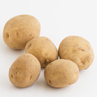 愛上熱呼呼口感 春季新薯 3-8個 400g （長崎県産)