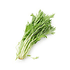 夏日水嫩食感 水菜 100g (三重縣産)