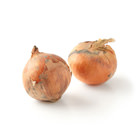 柔軟少辣味 洋蔥 2-4個 400g (北海道產)