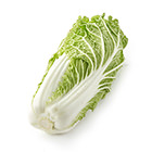 菜葉柔軟清甜 大白菜 400g（長野縣產）