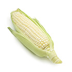 【大人氣商品】十勝奶香白粟米 300g (北海道産)