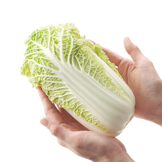 火鍋必備 迷你白菜 (埼玉縣産)