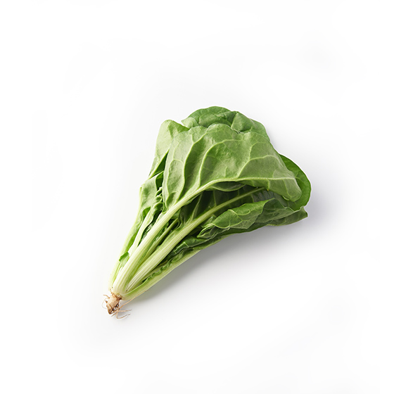 新食感的蔬菜 甜菜 150g （埼玉縣產）