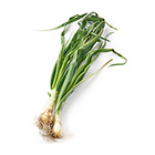 葉子都可吃！連葉洋蔥 2-4個 300g (奈良縣産)