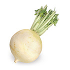炆煮最合適聖護院大根 奈良縣産 有機野菜通販ｏｉｓｉｘ おいしっくす