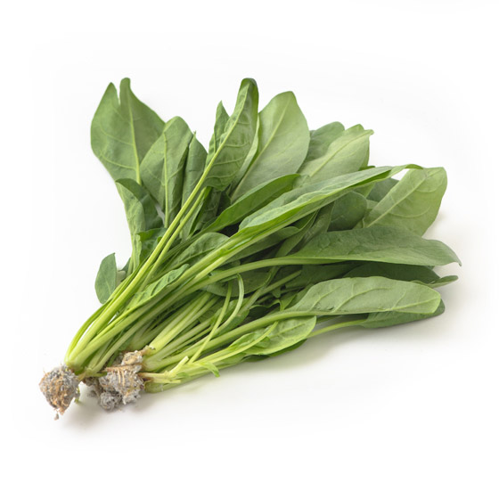 【Oisix精選】有口感而不苦澀 沙律菠菜