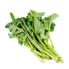 清炒白灼都好食 甘藍油菜 300g(埼玉縣產)