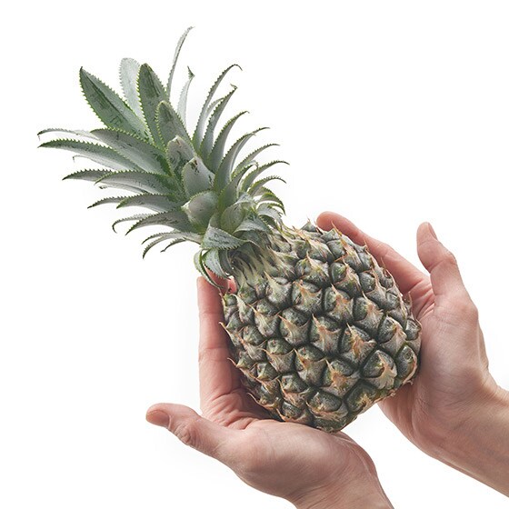 可手撕 超香甜粒粒釘菠蘿 600g (沖縄県産)