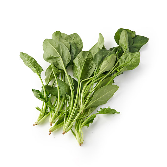 苦澀味不明顯 沙律菠菜(山梨縣産)