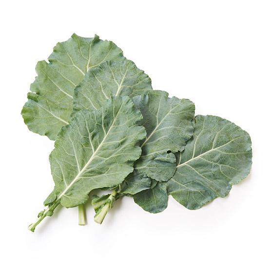 建議用來做Smoothie 羽衣甘藍(愛知県産)