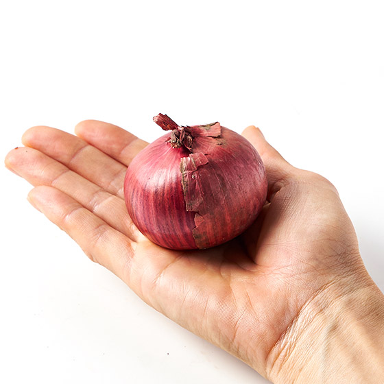 令菜式色彩亮麗 紅洋蔥(北海道産)