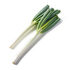 一棵有2種口感！甜美長蔥 2條(山形縣産)