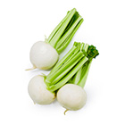 肉質細密味道清甜 蕪菁 2-5個(埼玉縣産)