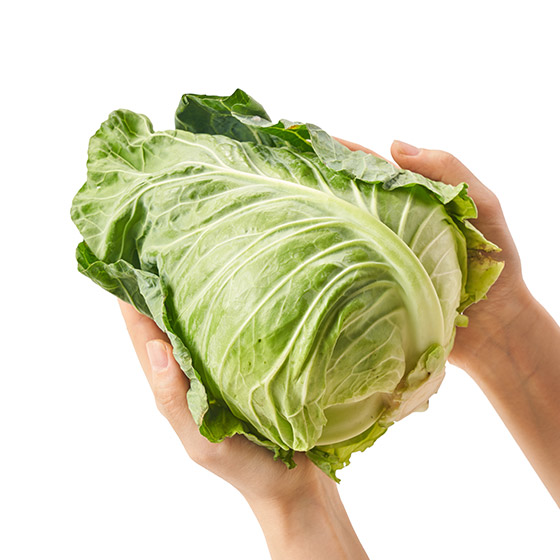 水水嫩嫩！ 小玉椰菜(神奈川縣産)