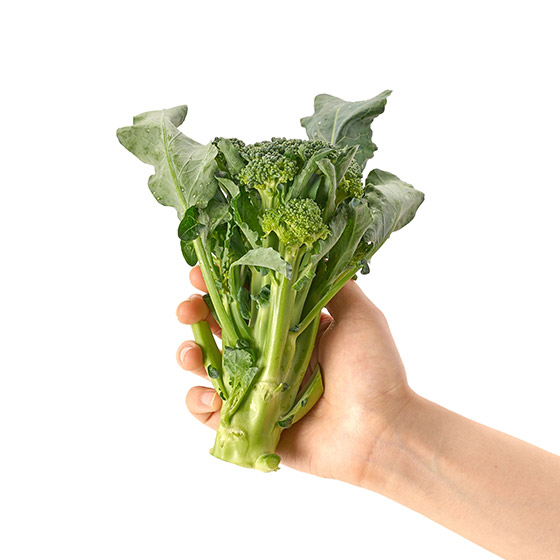 方便處理更易用！花束西蘭花 150g(静岡縣産)