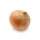 推薦加熱食用 大玉札幌黄洋葱 1個(北海道産)