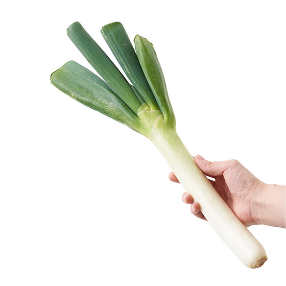 打邊爐最適合　絲滑柔軟大蔥 1-2條(埼玉縣産)