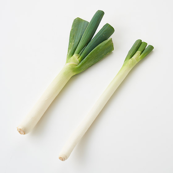 打邊爐最適合　絲滑柔軟大蔥 1-2條(埼玉縣産)