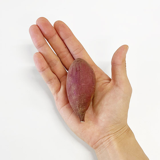 簡單清洗即可用 絲滑蕃薯 300g(熊本縣産)