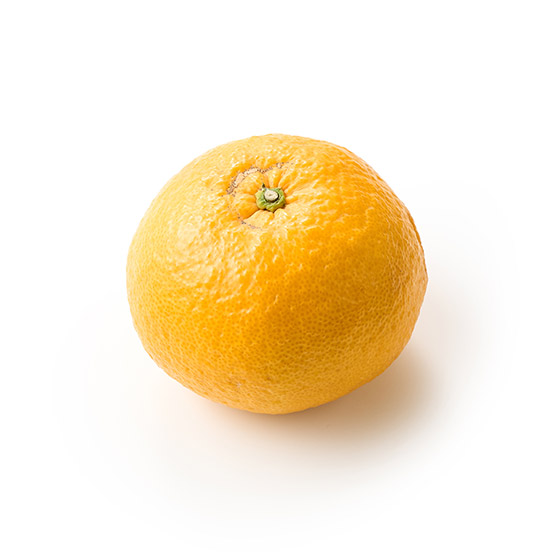 優雅的香氣 駿河甘夏 (静岡縣産)