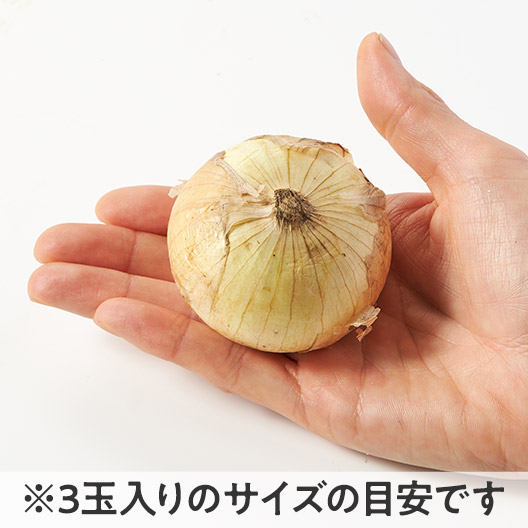 春天的柔軟口感 新洋葱 (佐賀縣産)