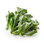 較少見蔬菜 羽衣甘藍菜花 150g(静岡縣産)