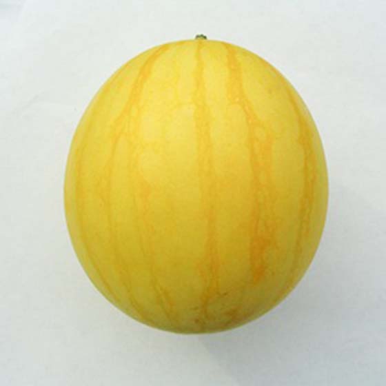 金福西瓜(福井縣産)