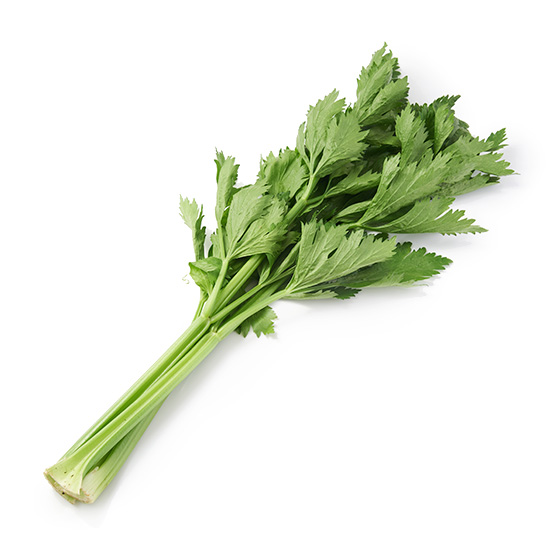 纖維較少方便使用 西芹 (北海道産)