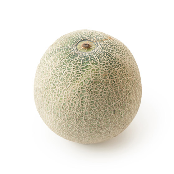 在日本海的海風滋潤下種植 歐非蜜瓜(山形縣産)